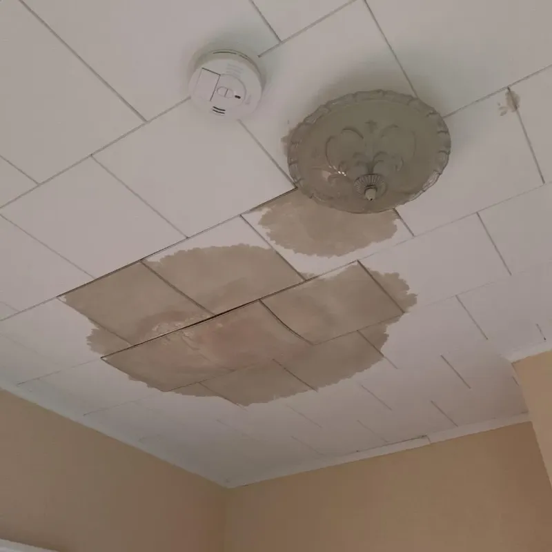 Ceiling Water Damage Repair in Stafford, CT