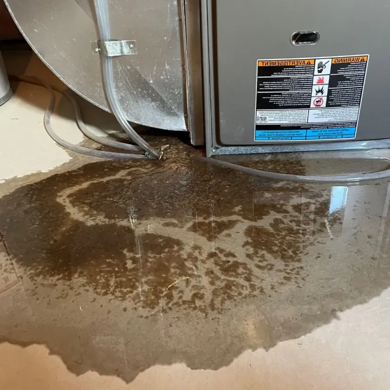 Pipe Burst and Leak Restoration in Stafford, CT