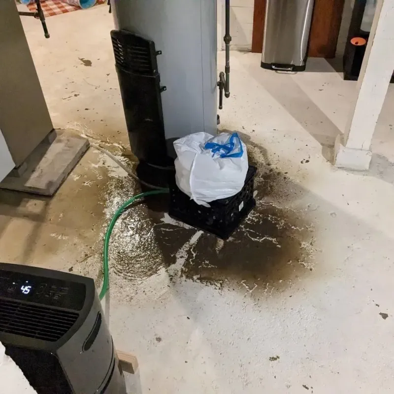 Sewage Backup Cleanup Service in Stafford, CT